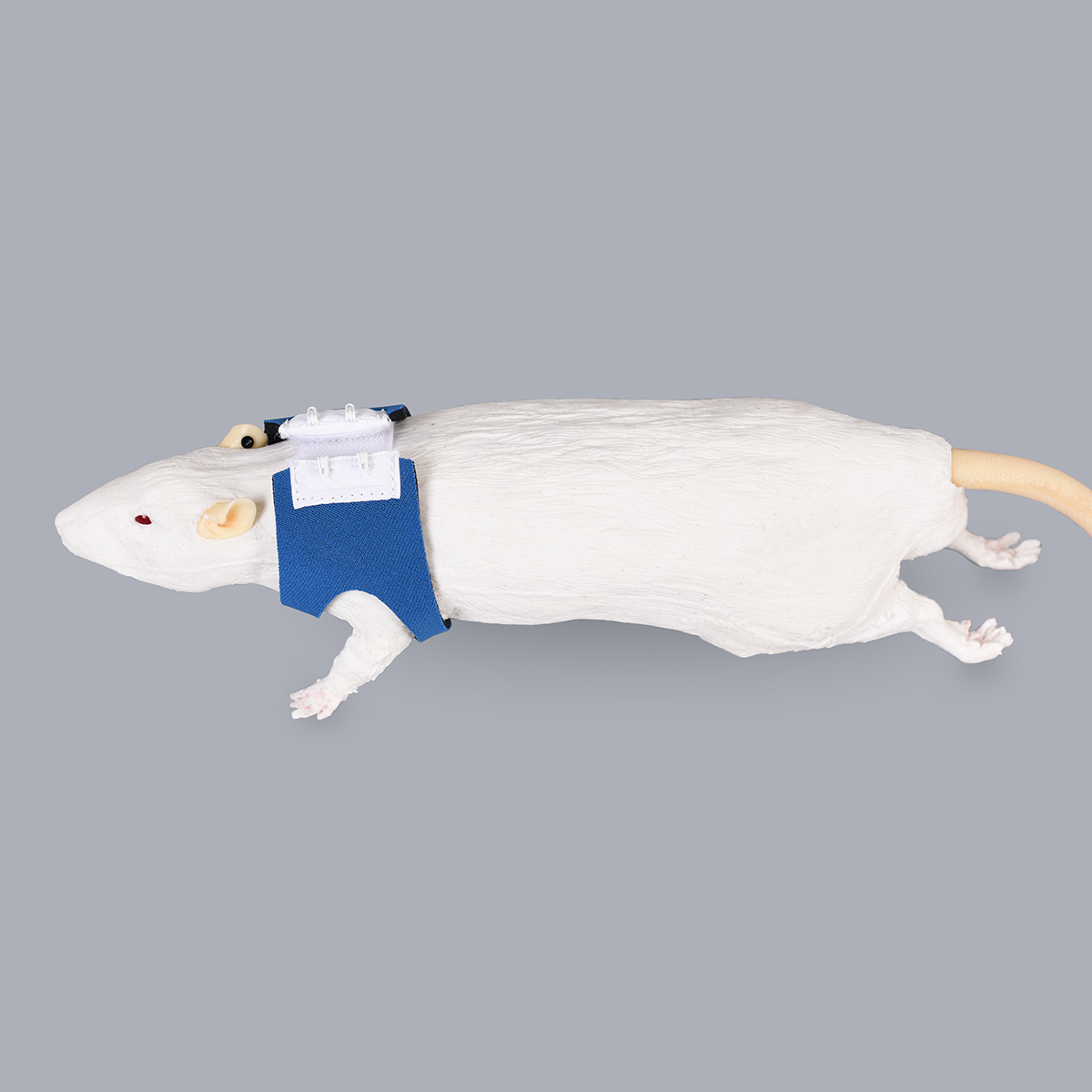 Rat Jacket, Neoprene 3 mm (RJ 01NP3)